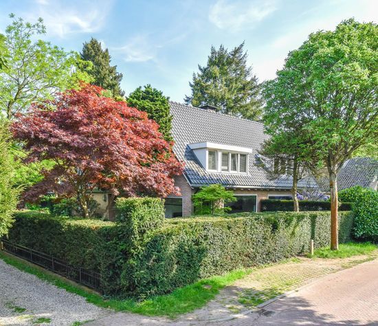 Koloniepad 18, Laren