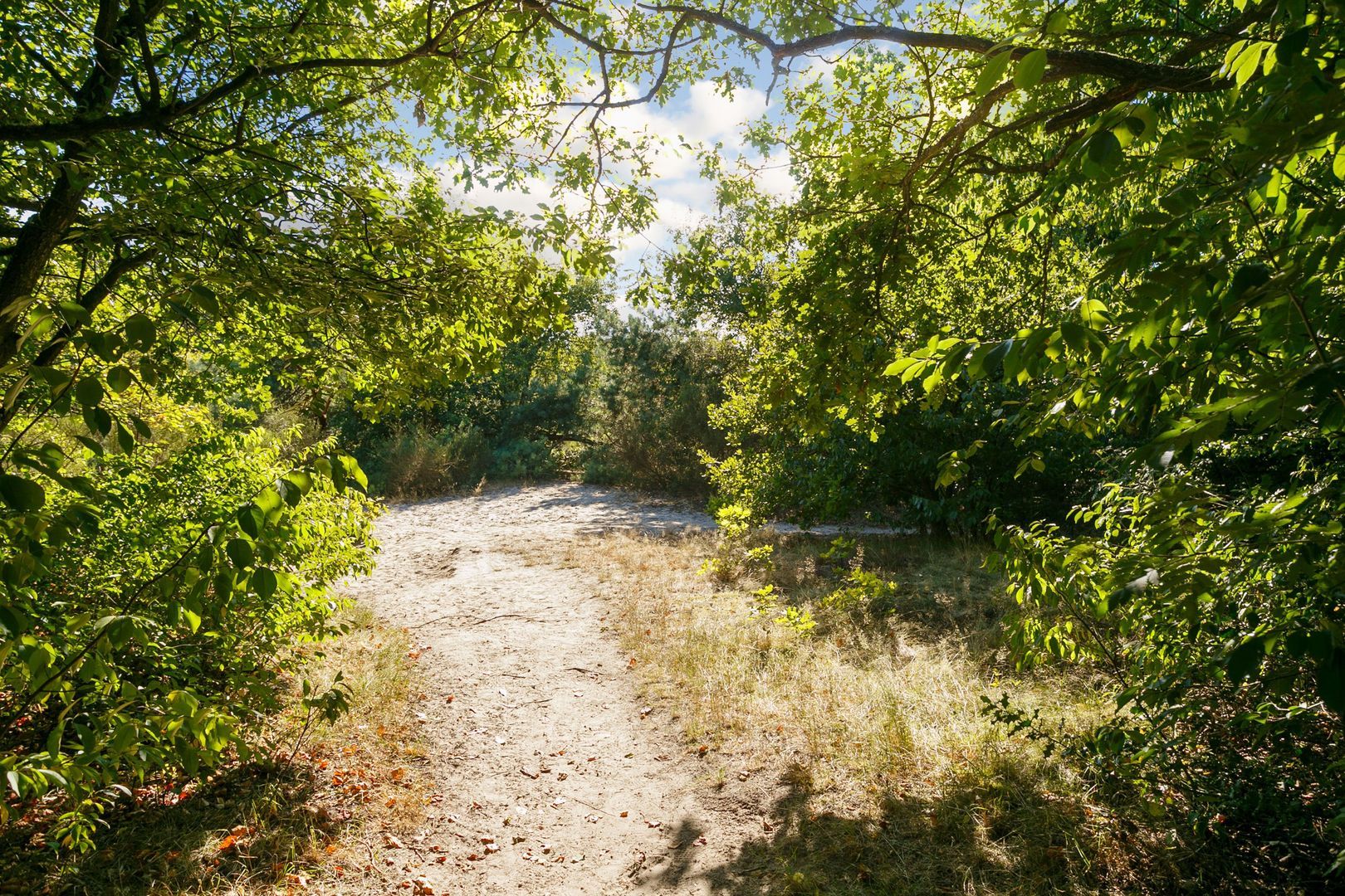 Rueterlaan 5, Laren foto-53