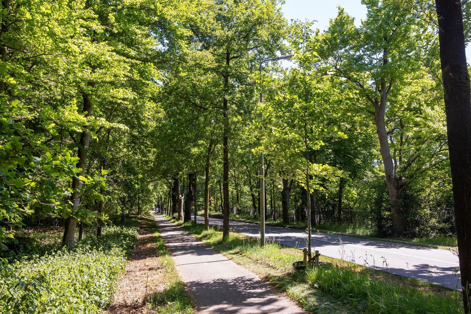 Oude Arnhemse Bovenweg 16, Doorn foto-40