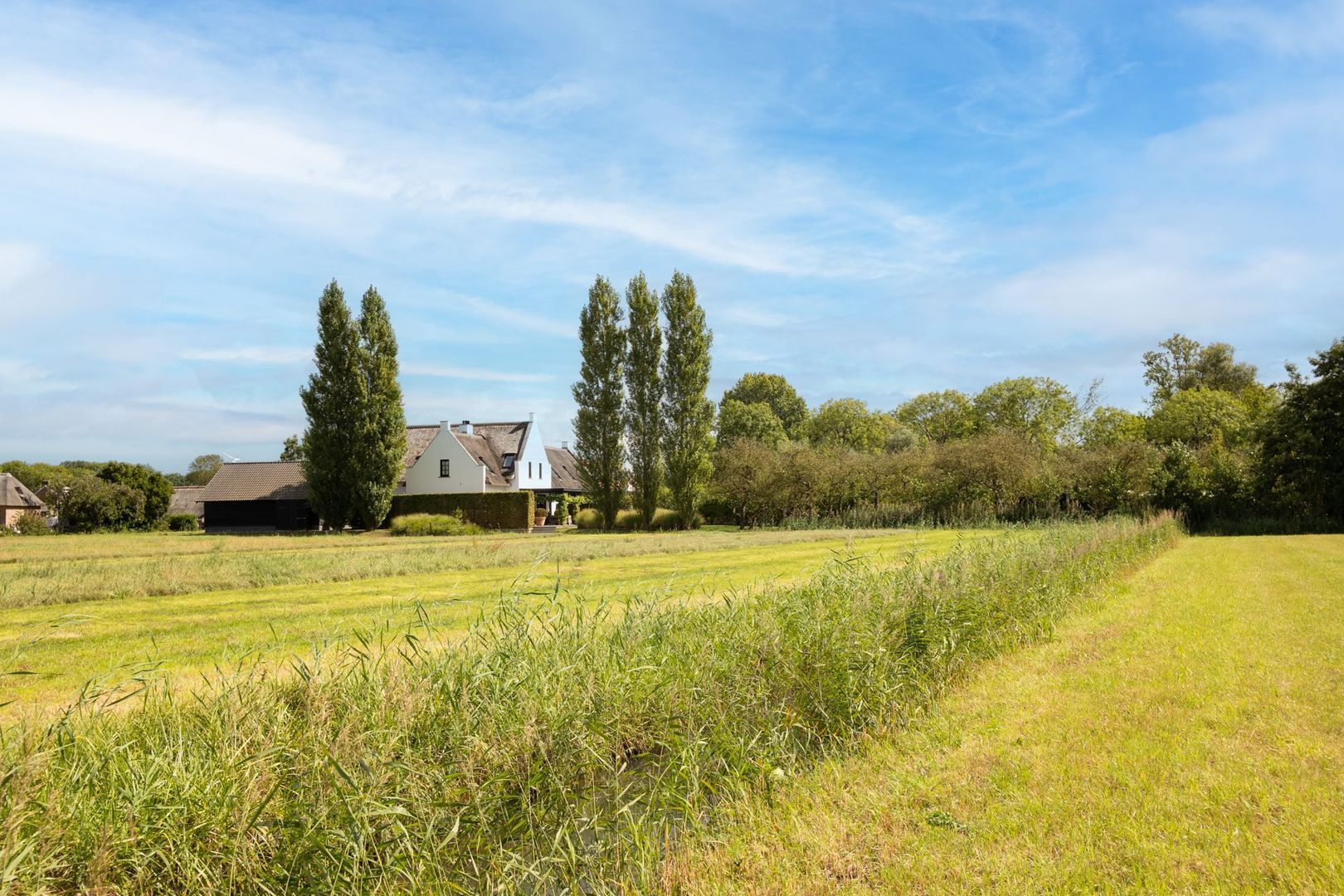 Molenstraat 6, Bruchem foto-49