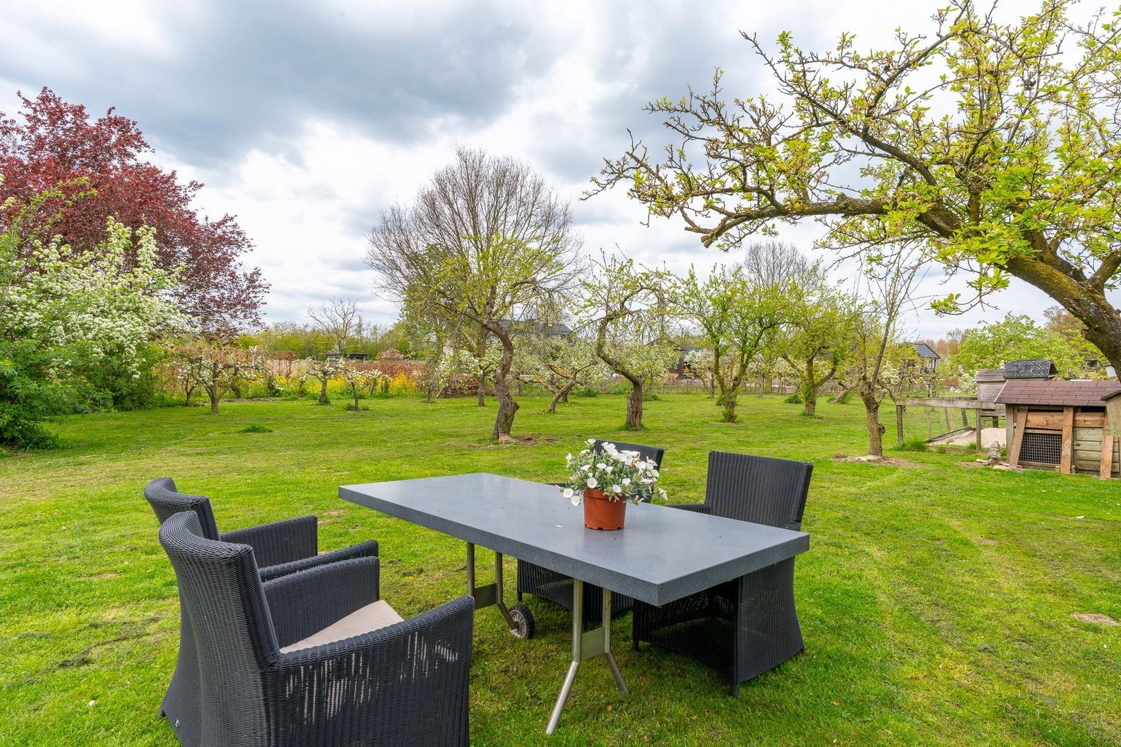 Ganzert 30, Eck en Wiel foto-41