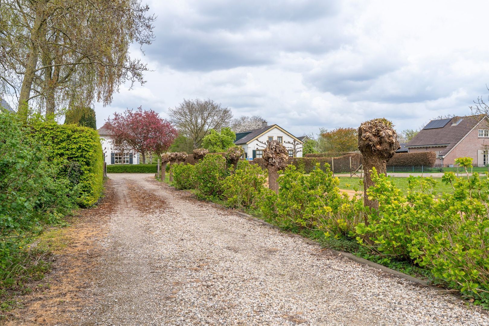 Ganzert 30, Eck en Wiel foto-38