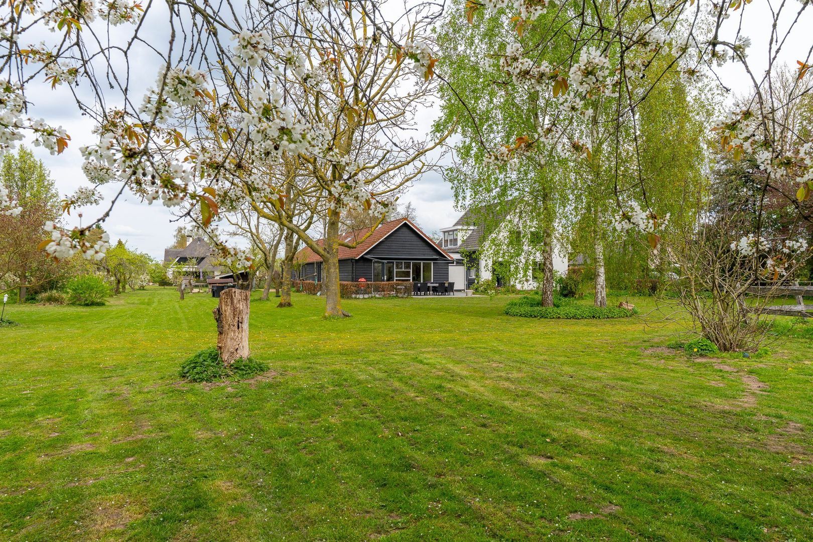 Ganzert 30, Eck en Wiel foto-46