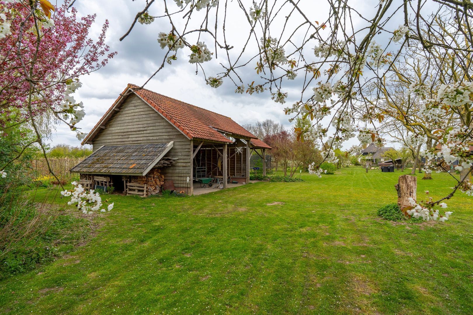 Ganzert 30, Eck en Wiel foto-47