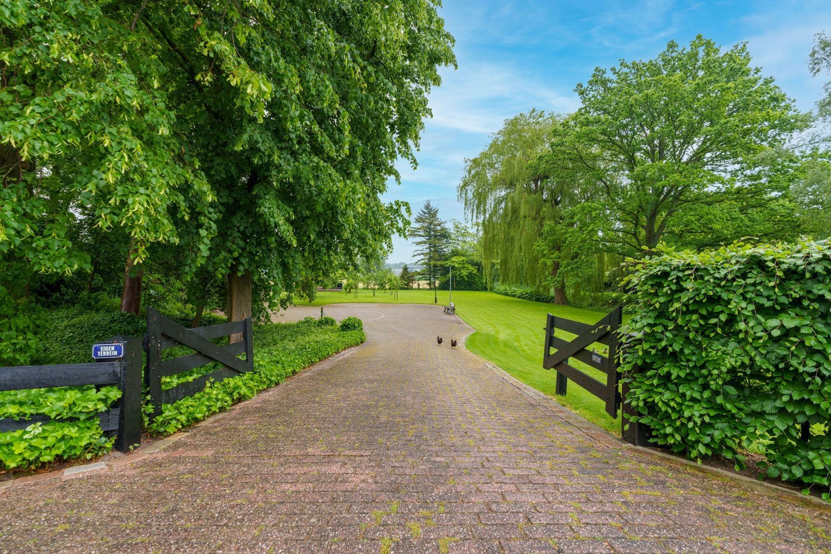 Appeldijk 5, Deil foto-41