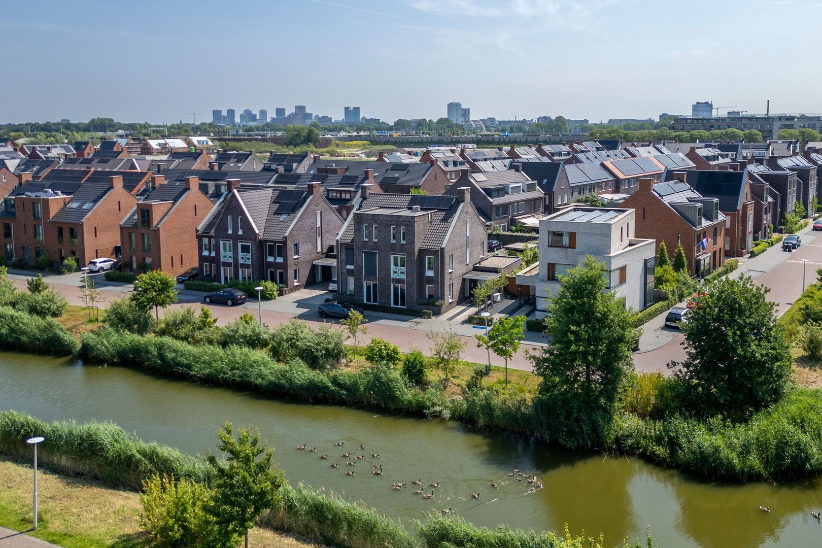 Wilde rijstvliet 100, Utrecht foto-1