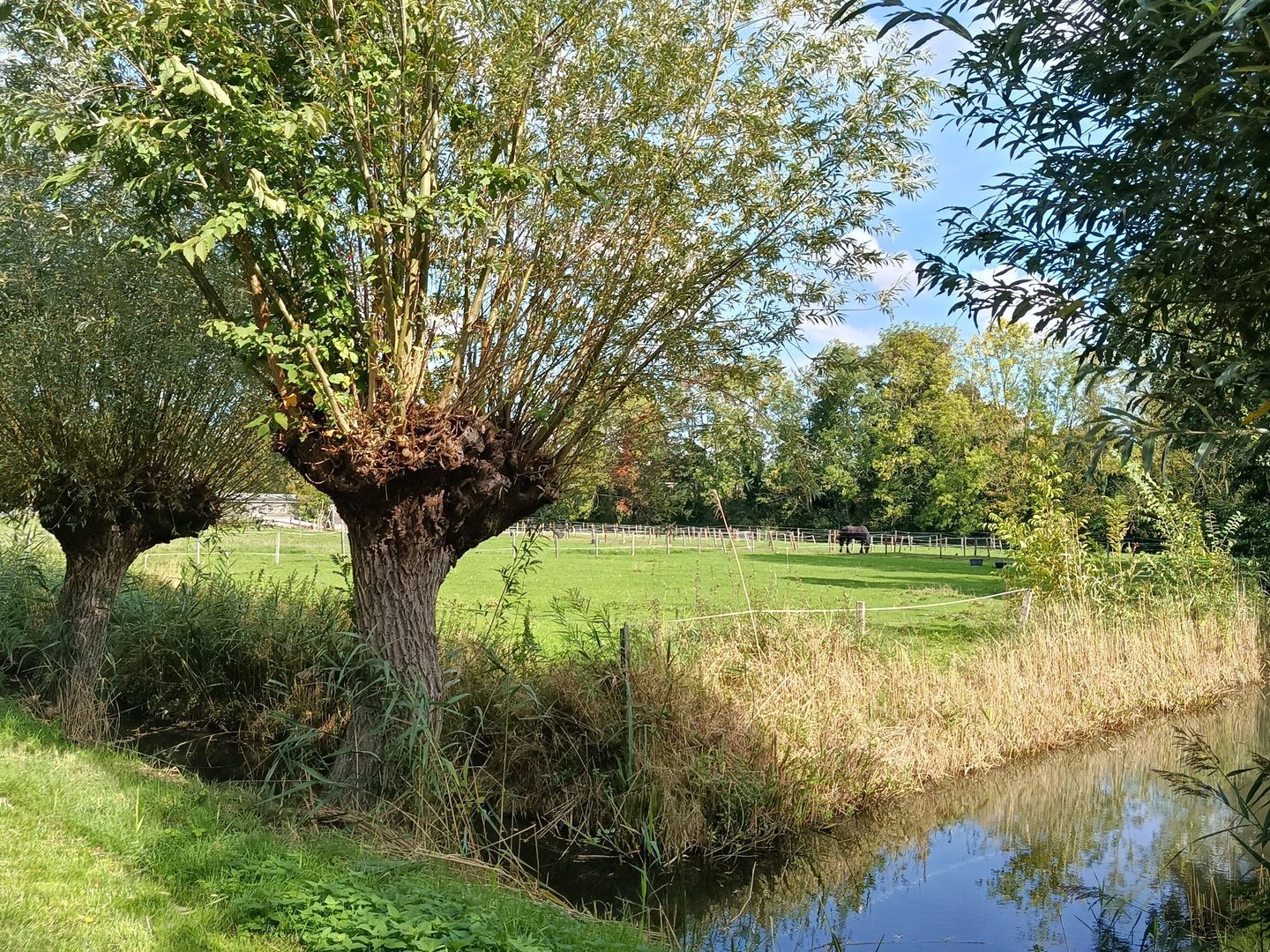 Kloosterpark 1, De Meern foto-42