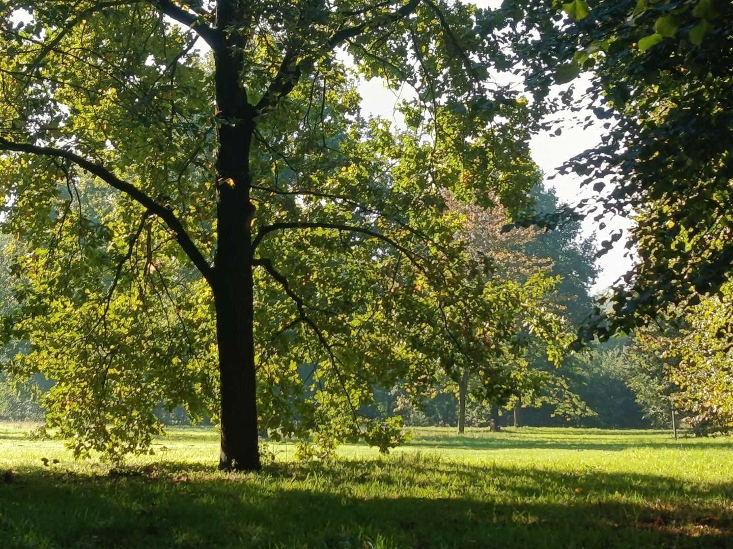 Kloosterpark 1, De Meern foto-5