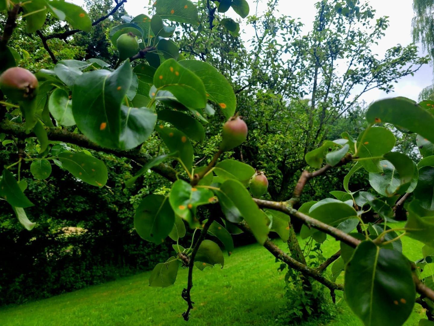 Kloosterpark 1, De Meern foto-38