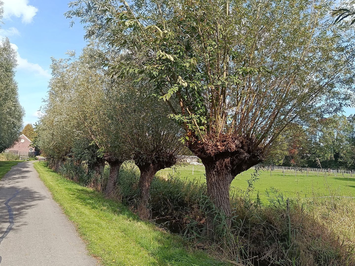 Kloosterpark 1, De Meern foto-41