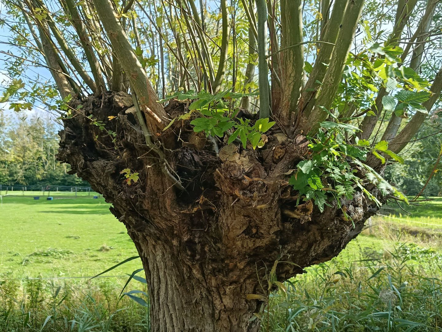 Kloosterpark 1, De Meern foto-44