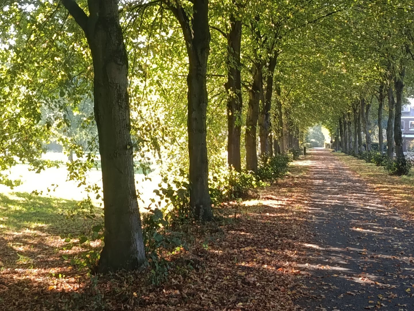 Kloosterpark 1, De Meern foto-4