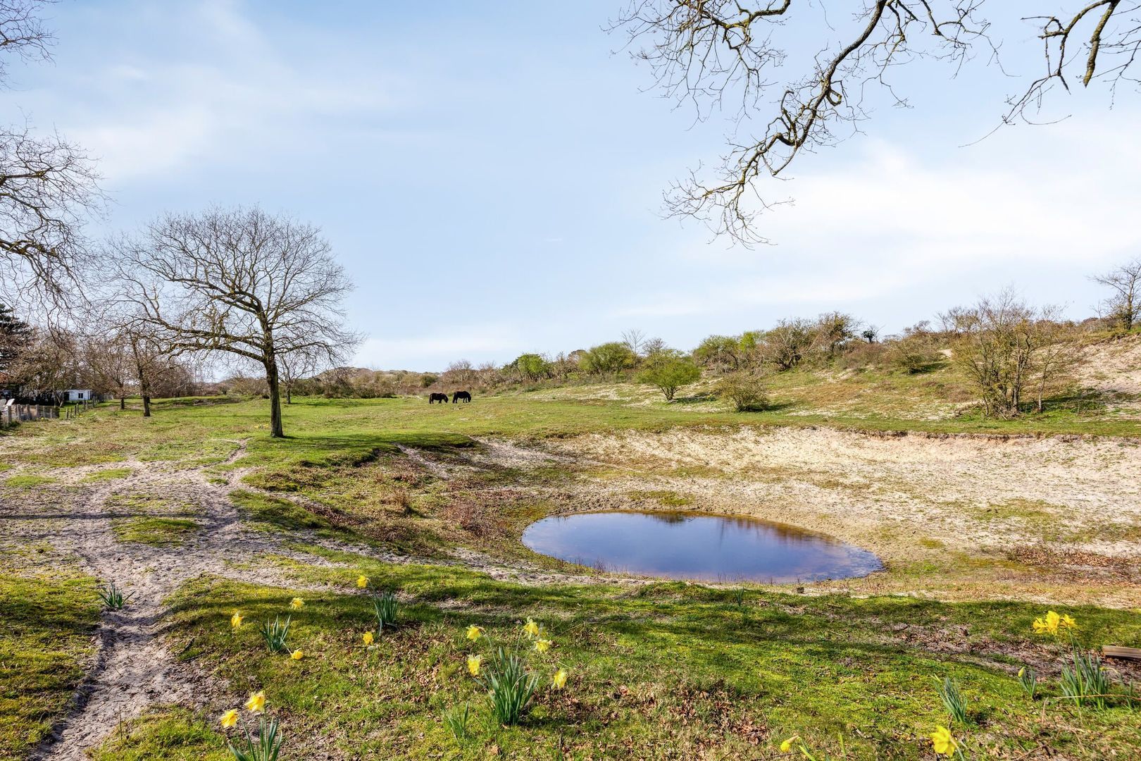 Duinweg 9, Renesse foto-42