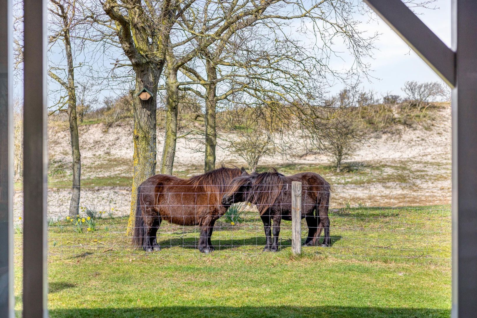 Duinweg 9, Renesse foto-41