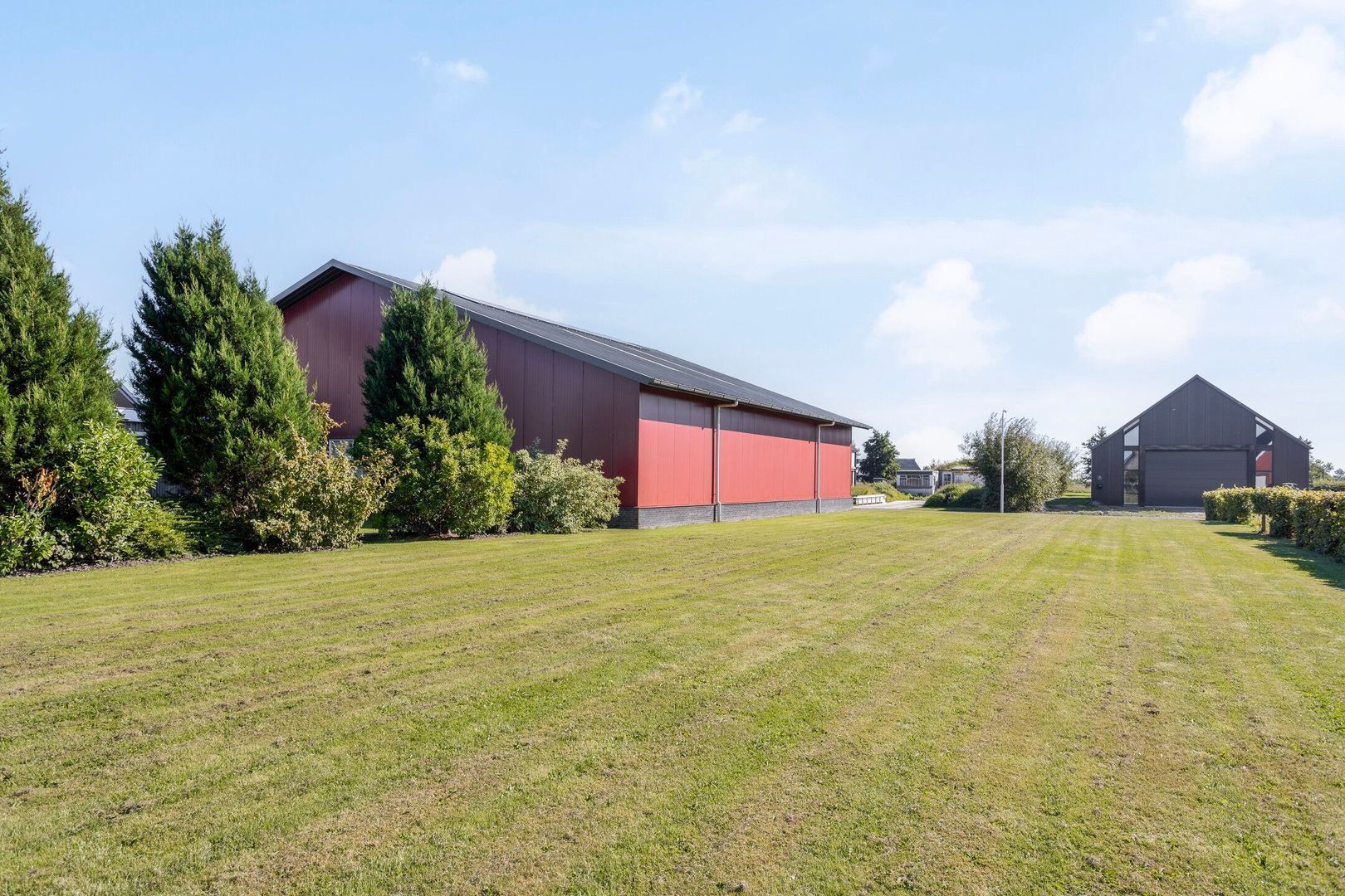 De Streng 2, Ternaard foto-50