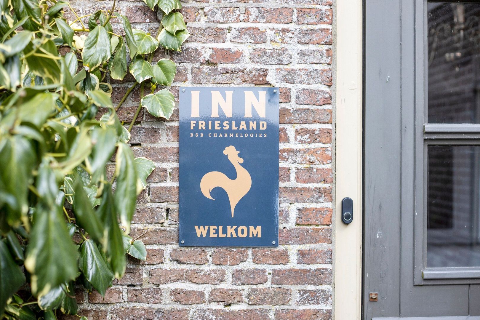 Nijbuorren 8, Ternaard foto-34