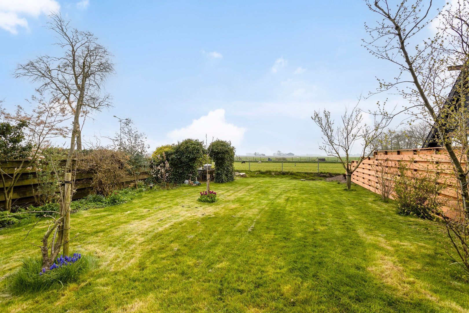 Nijbuorren 8, Ternaard foto-63