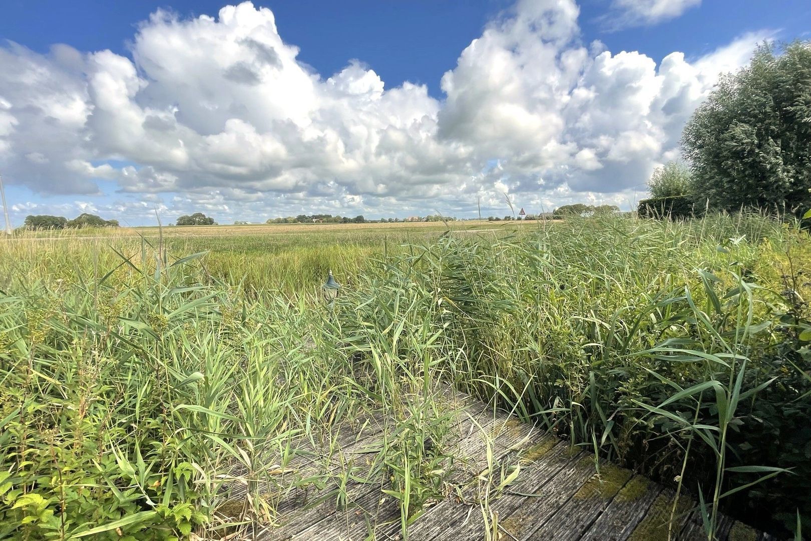 De Wjuk 9, Ferwert foto-5