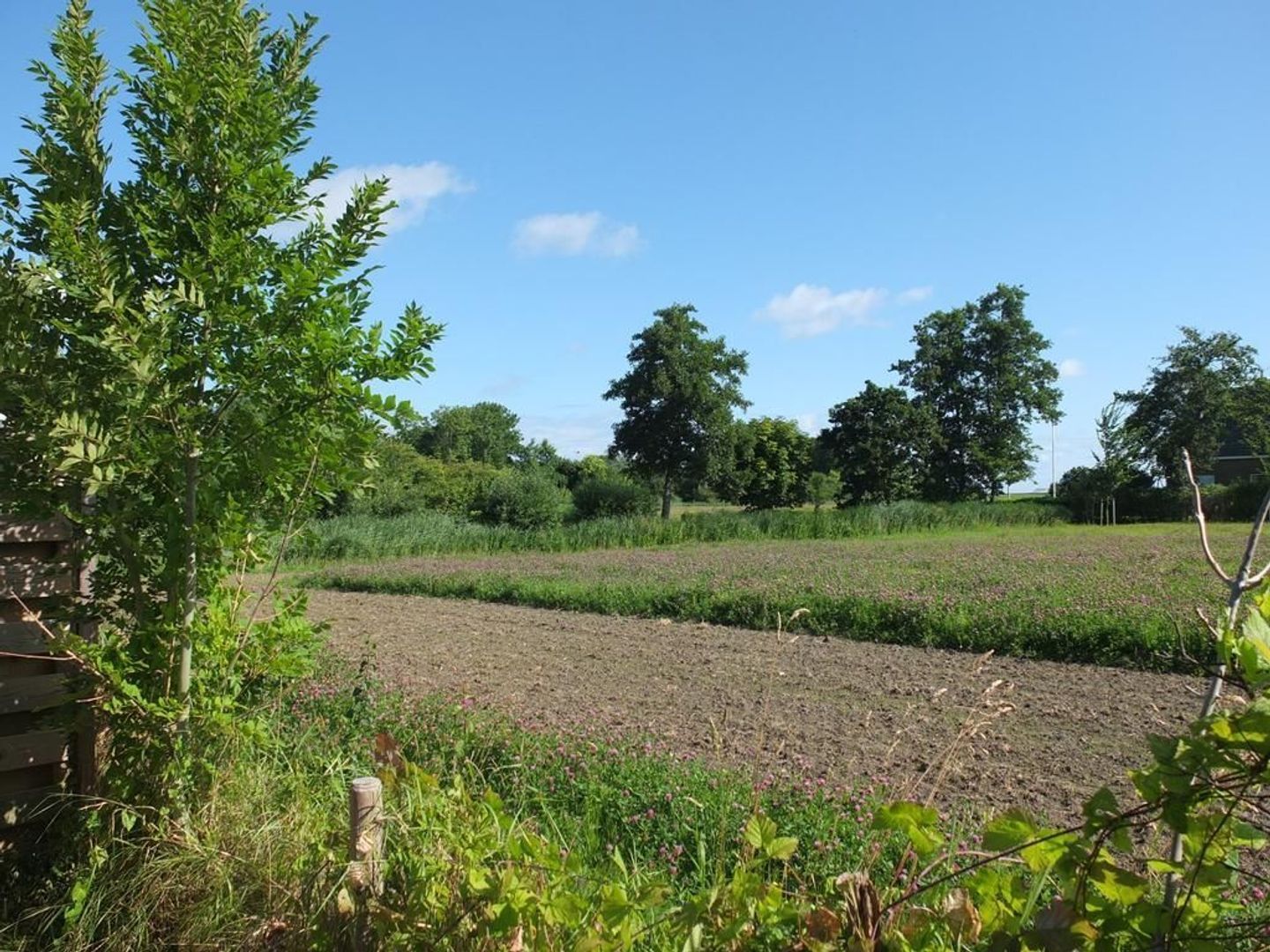 Beyertstrjitte 81, Holwert foto-15