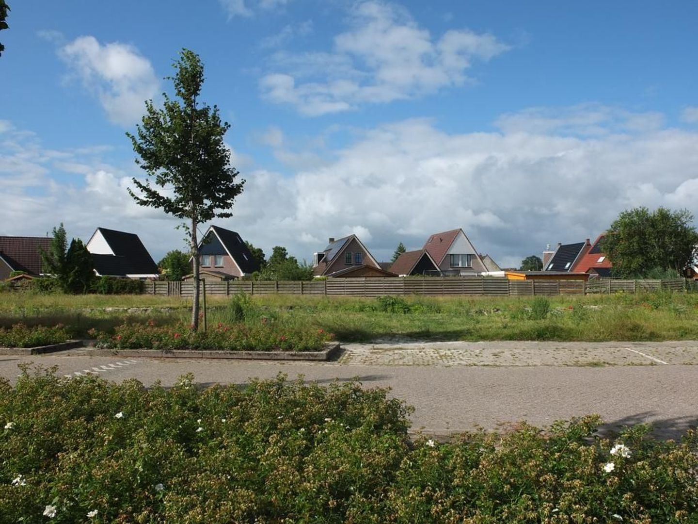 Beyertstrjitte 81, Holwert foto-30