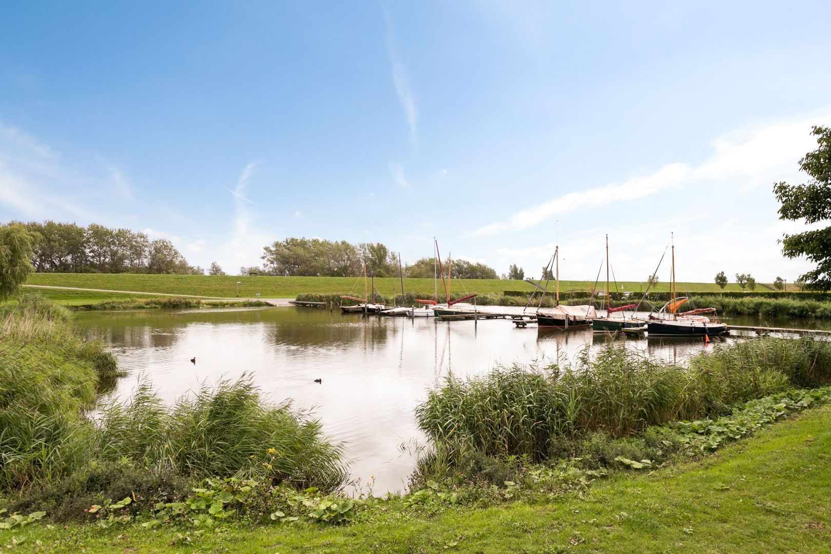 Geuzehoeke 36 636, Eanjum foto-34