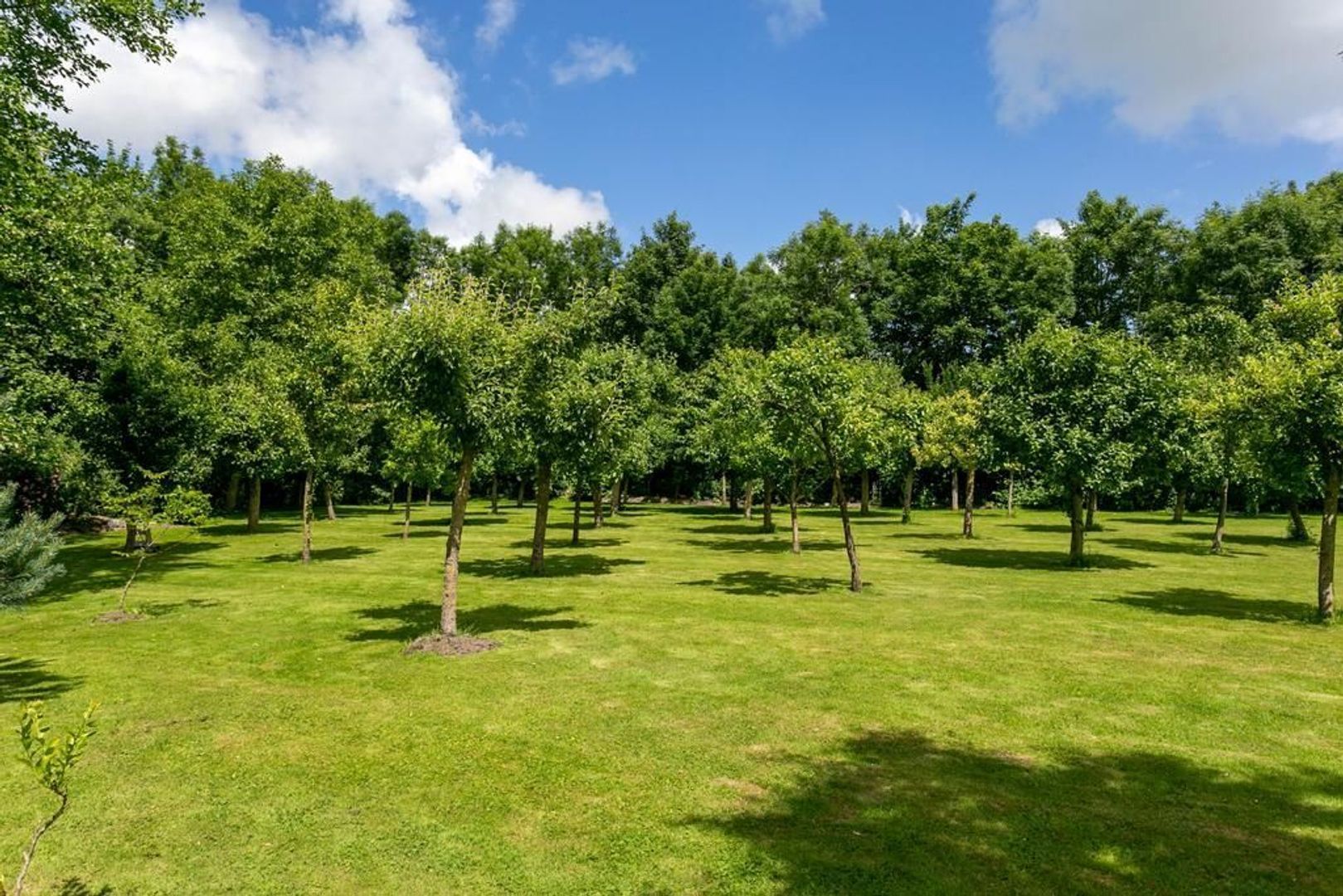 Lytse Leasterdyk 3, Hiaure foto-41