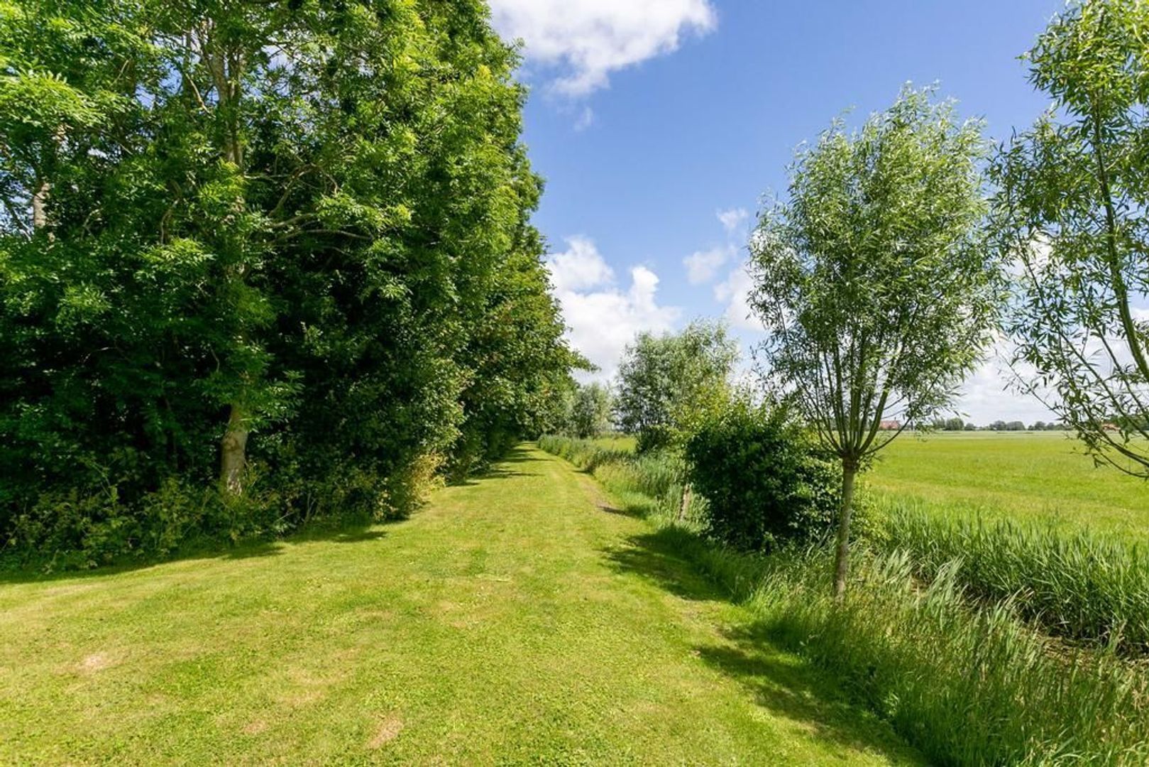 Lytse Leasterdyk 3, Hiaure foto-44