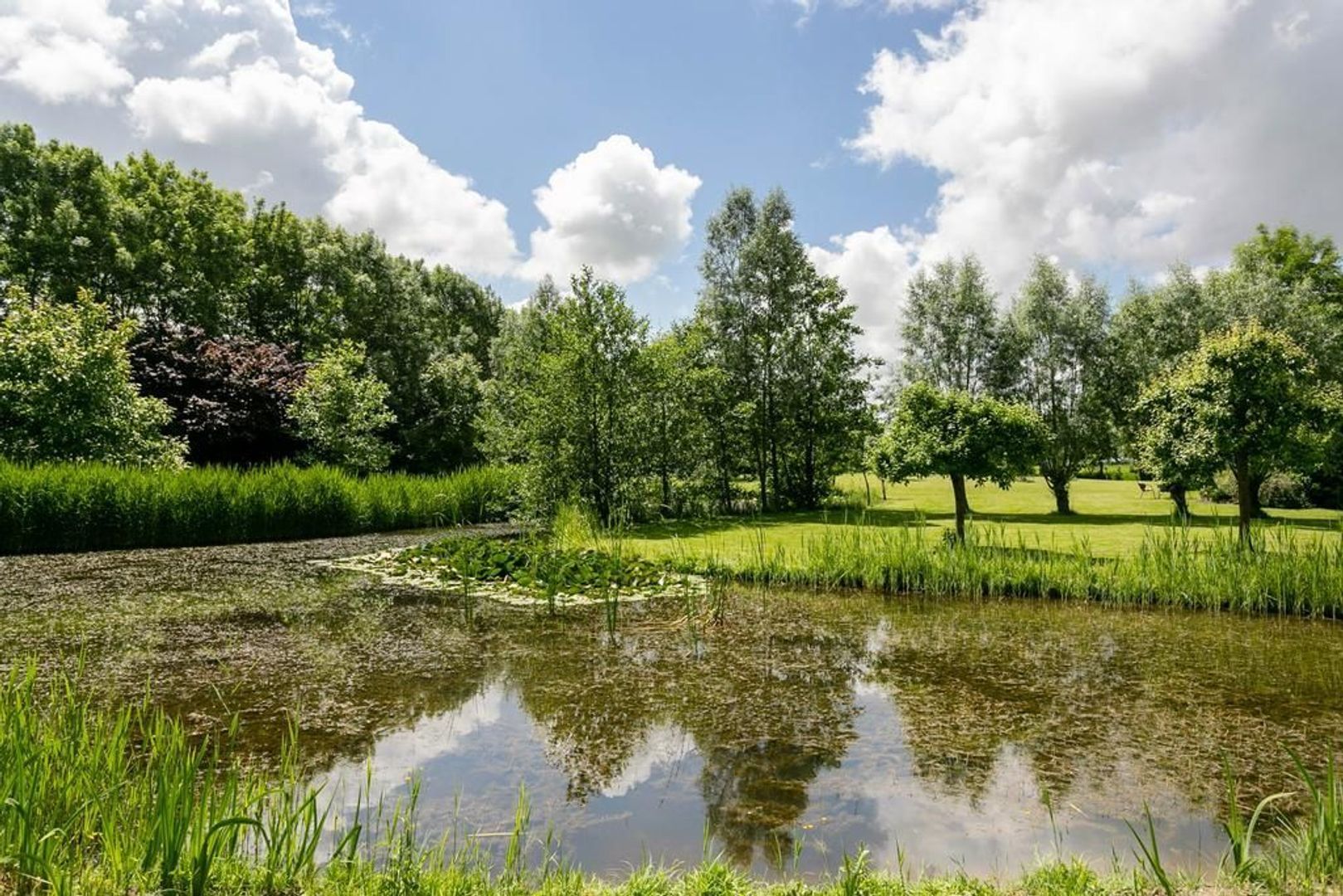 Lytse Leasterdyk 3, Hiaure foto-43