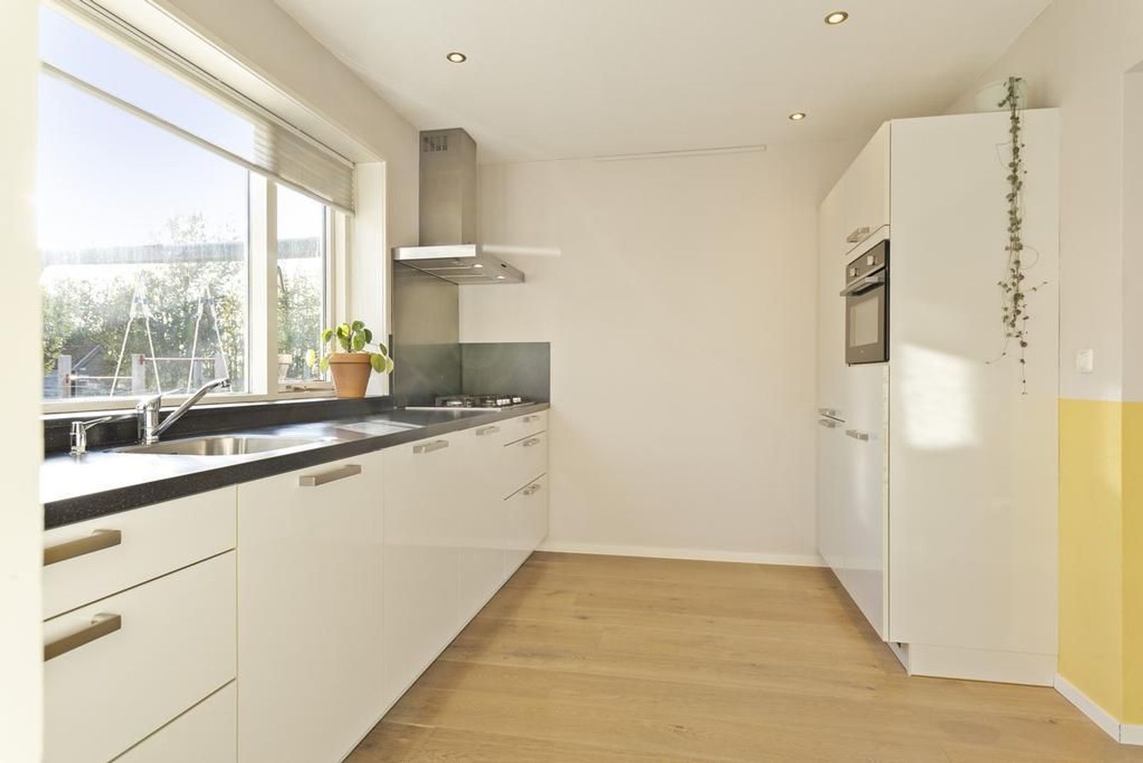 De Terpen 23, Hantum foto-13