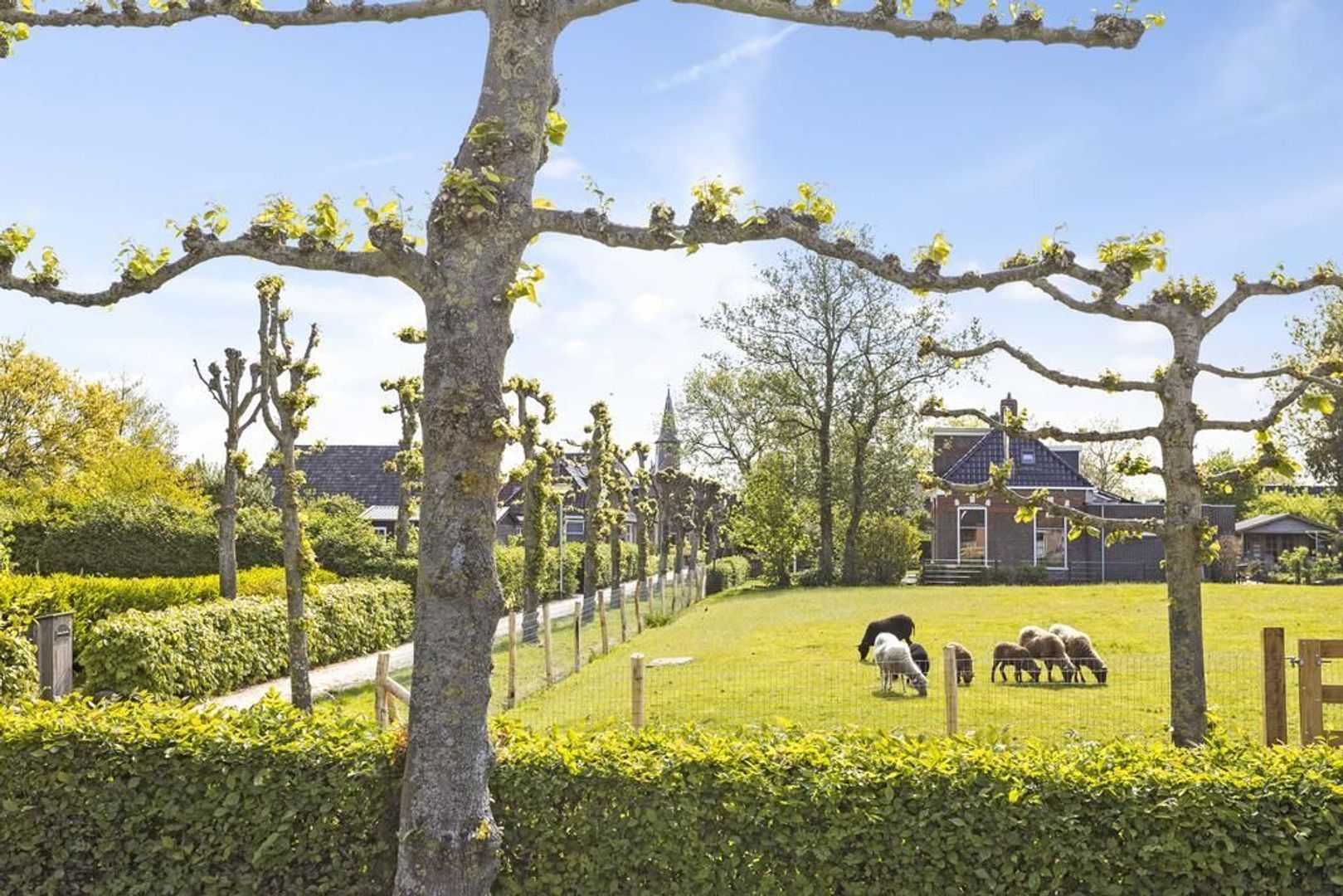 Siercksmawei 6, Nijewier foto-38