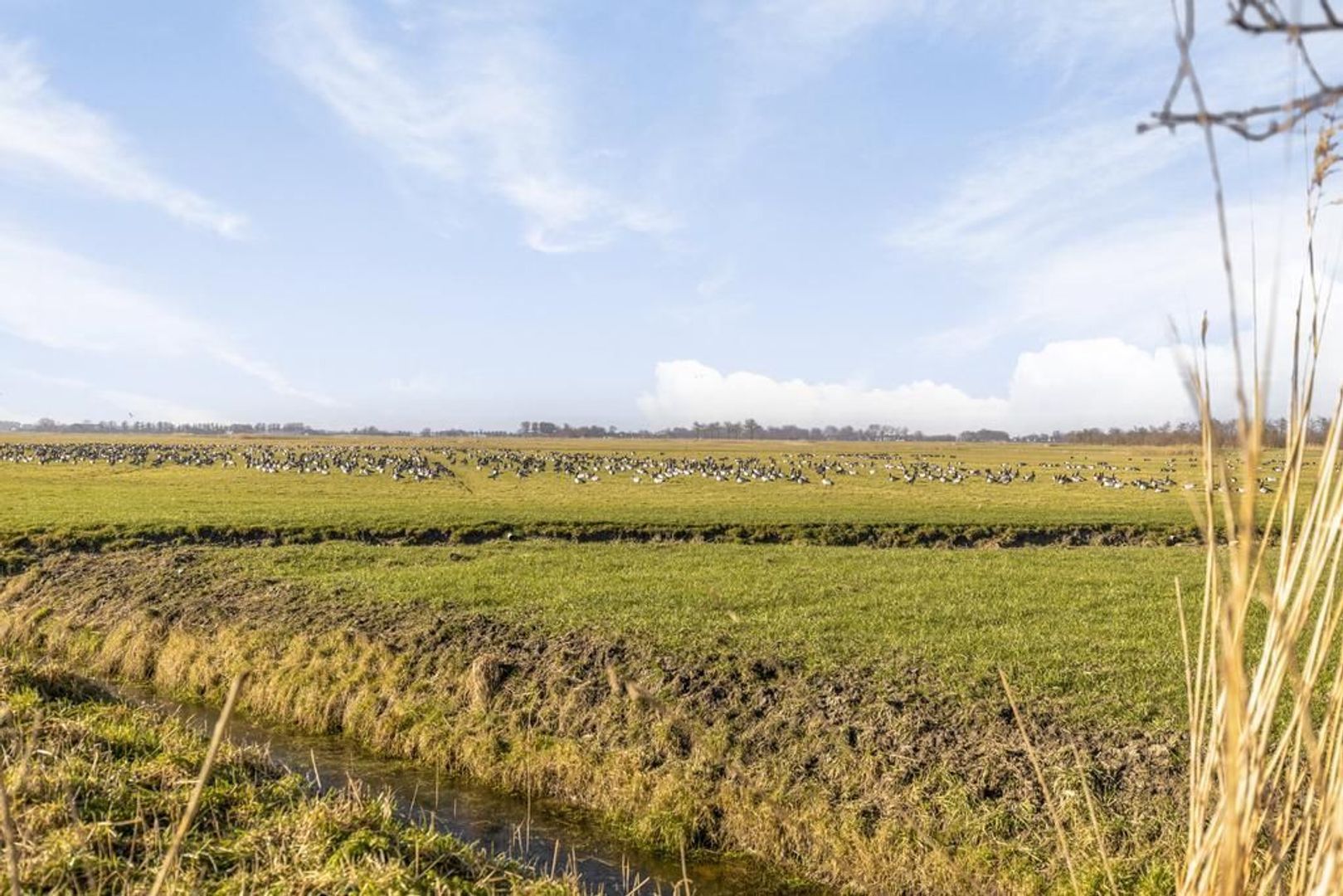 Burmaniastrjitte 33, Eanjum foto-25