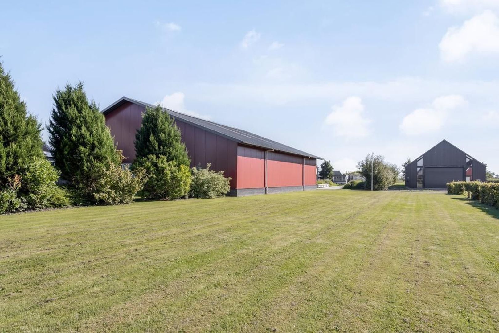 De Streng 2, Ternaard foto-50