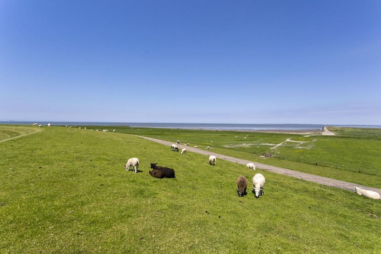 De Buorren 22, Peazens foto-2