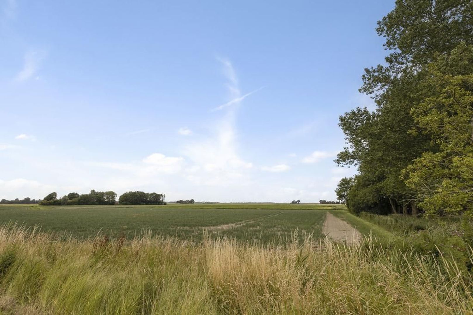 Gruytsweg 26, Warfstermolen foto-29