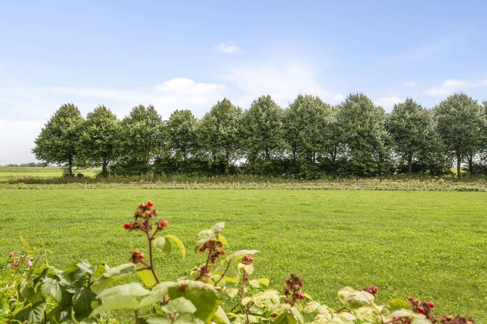 Hearewei 27, Hantum foto-3