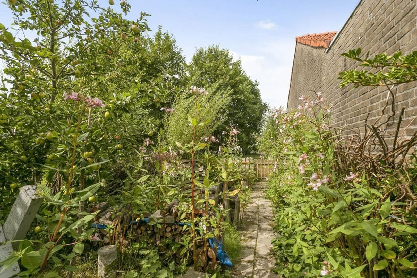 Hearewei 27, Hantum foto-12