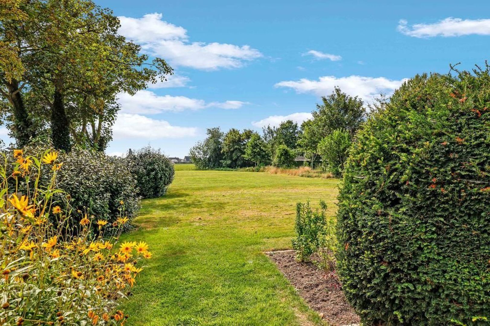 Hantumerwei 63, Aalsum foto-62