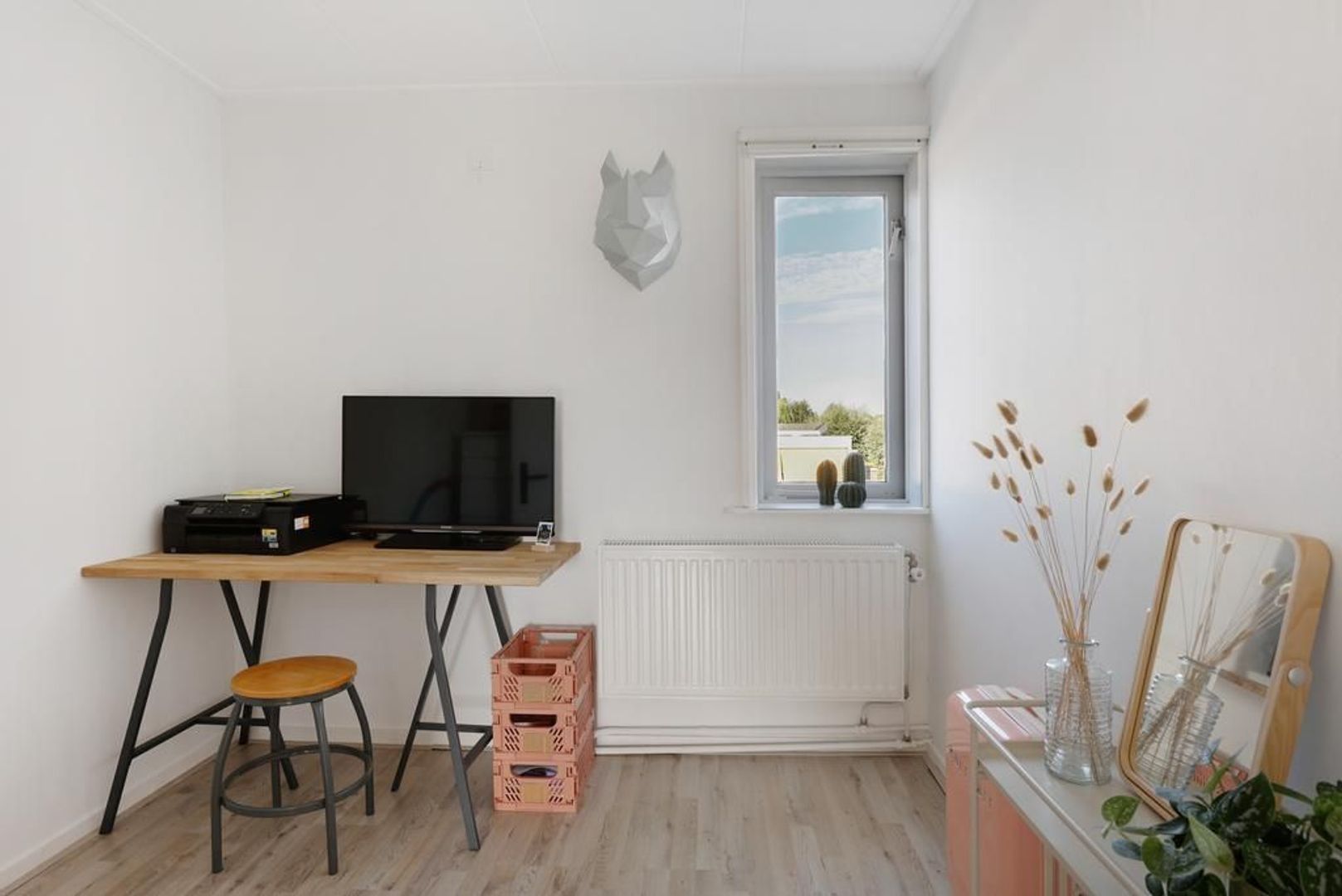 Hantumerweg 33, Dokkum foto-20