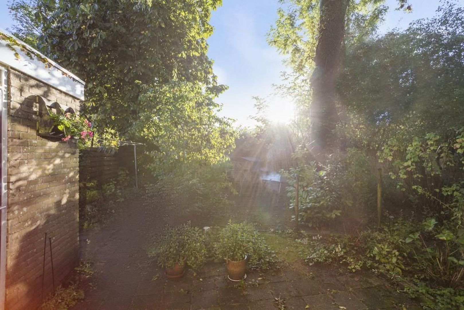 De Buorren 10, Ingwierrum foto-22