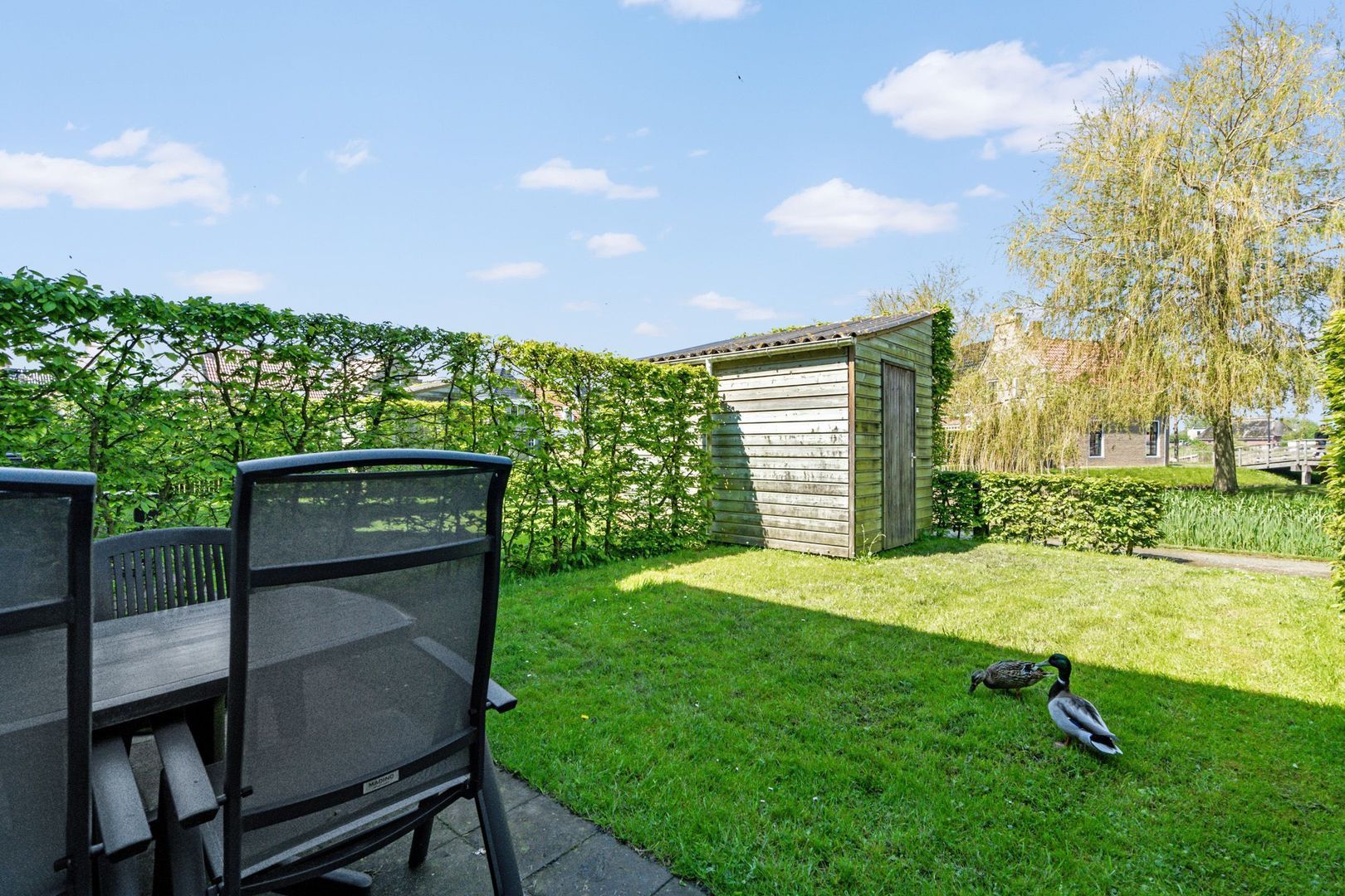 Noarderskâns 25 111, Eanjum foto-16