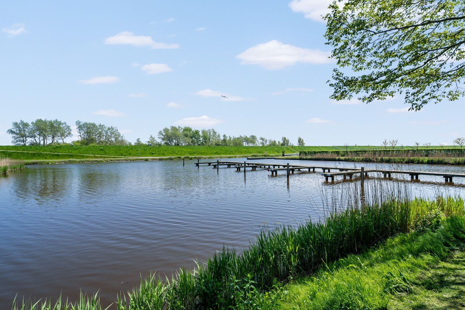 Noarderskâns 25 111, Eanjum foto-19