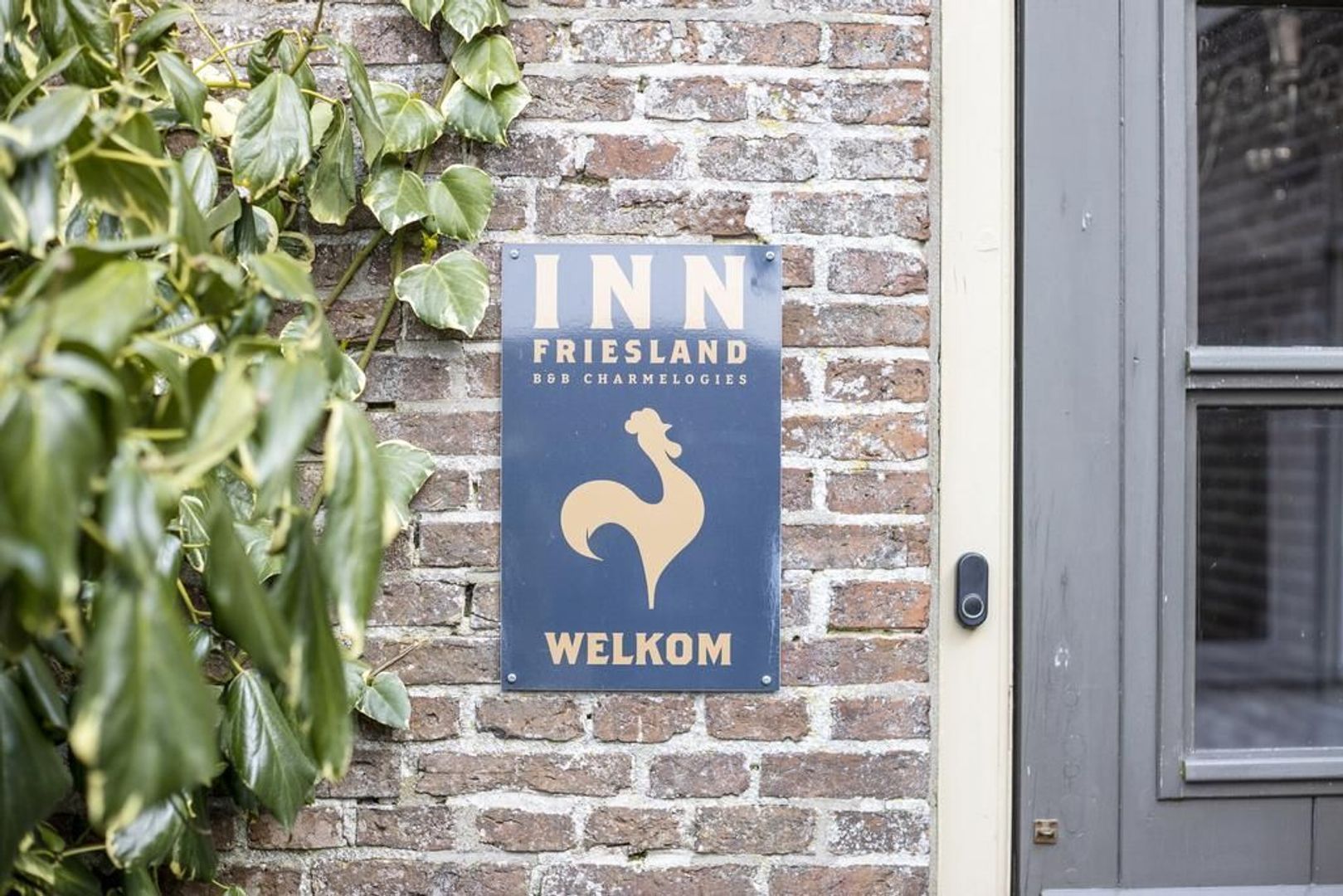 Nijbuorren 8, Ternaard foto-34