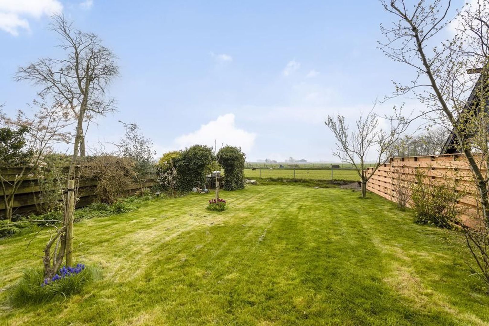 Nijbuorren 8, Ternaard foto-63