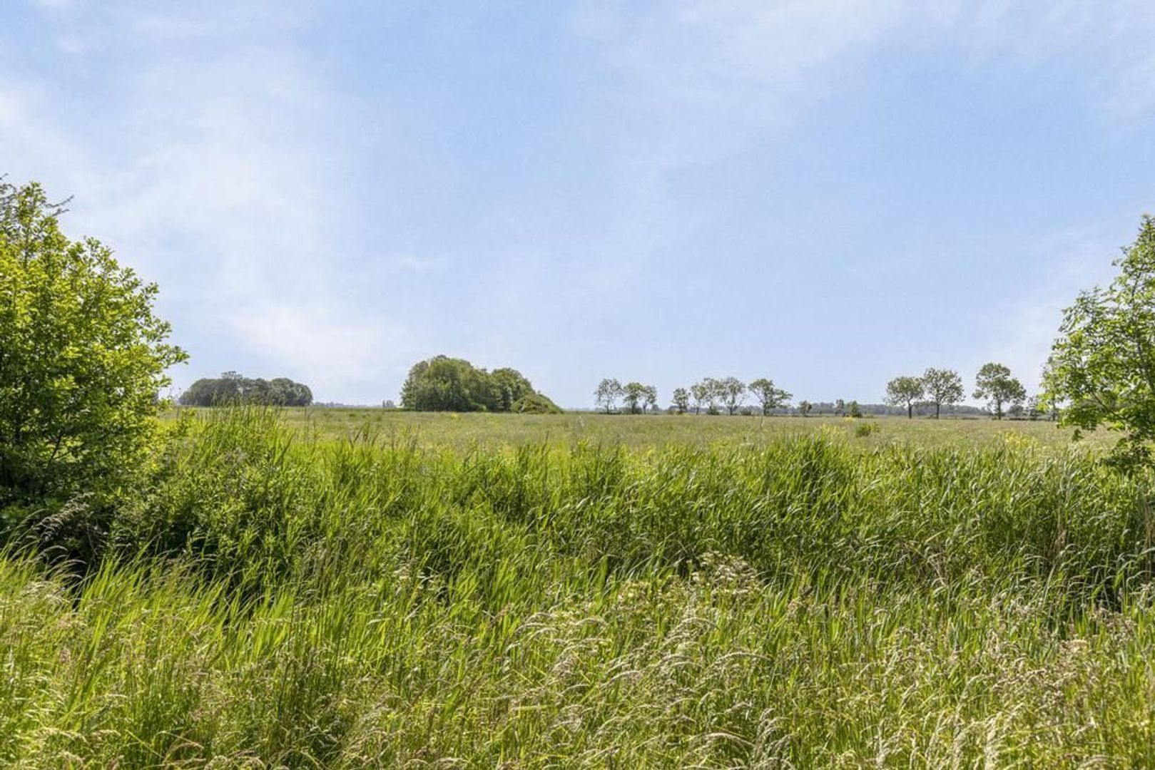 Ale-Tun 12, Holwert foto-22