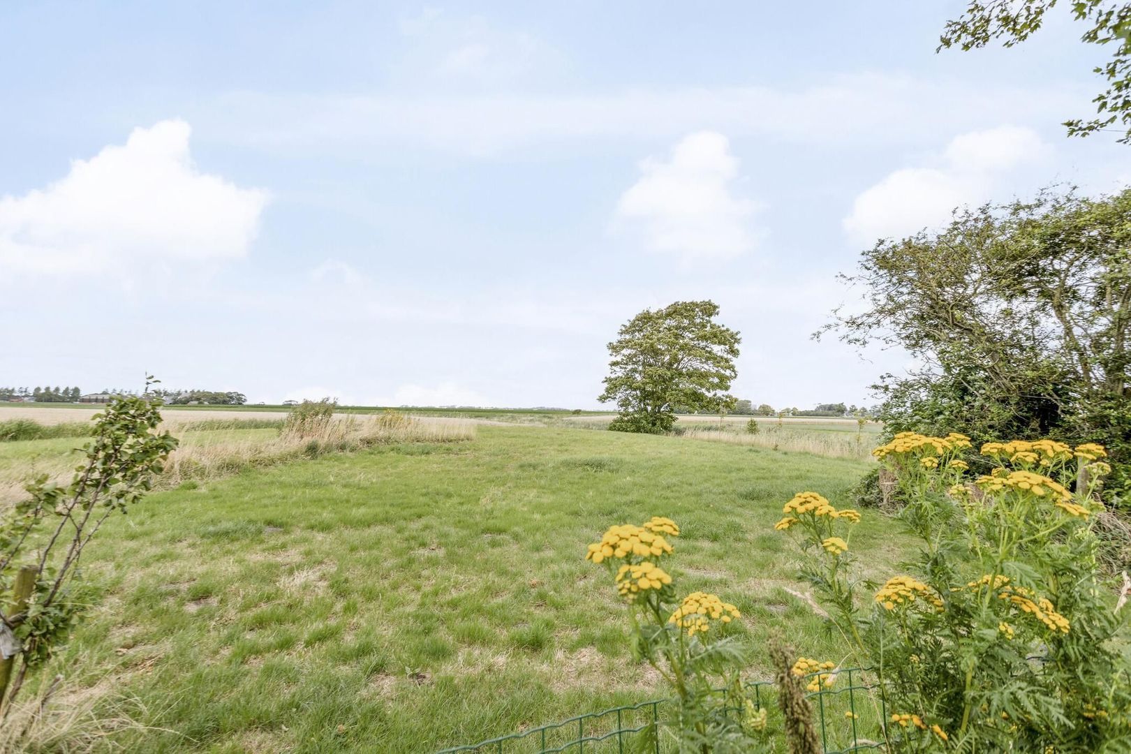 Nesserwei 21, Ternaard foto-33