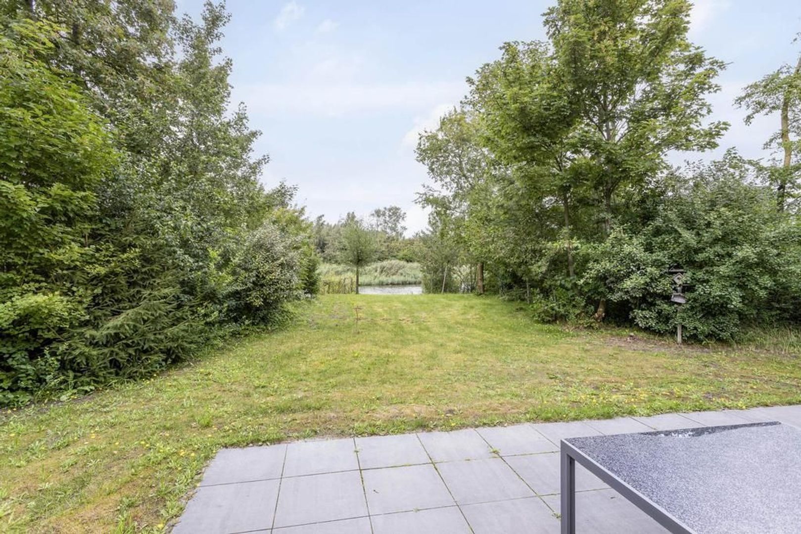 De Rug 3 275, Lauwersoog foto-19