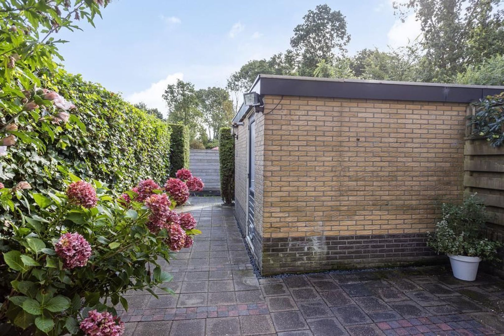 Kluut 38, Dokkum foto-24