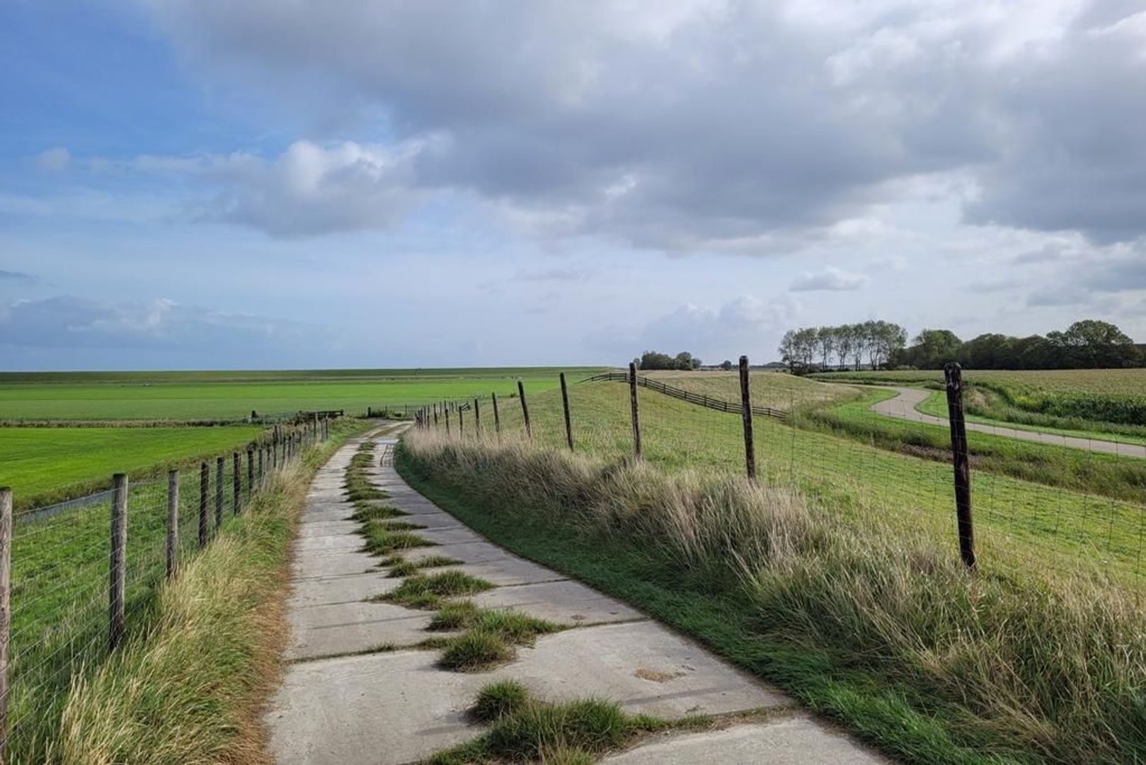De Groedse 5, Ternaard foto-3