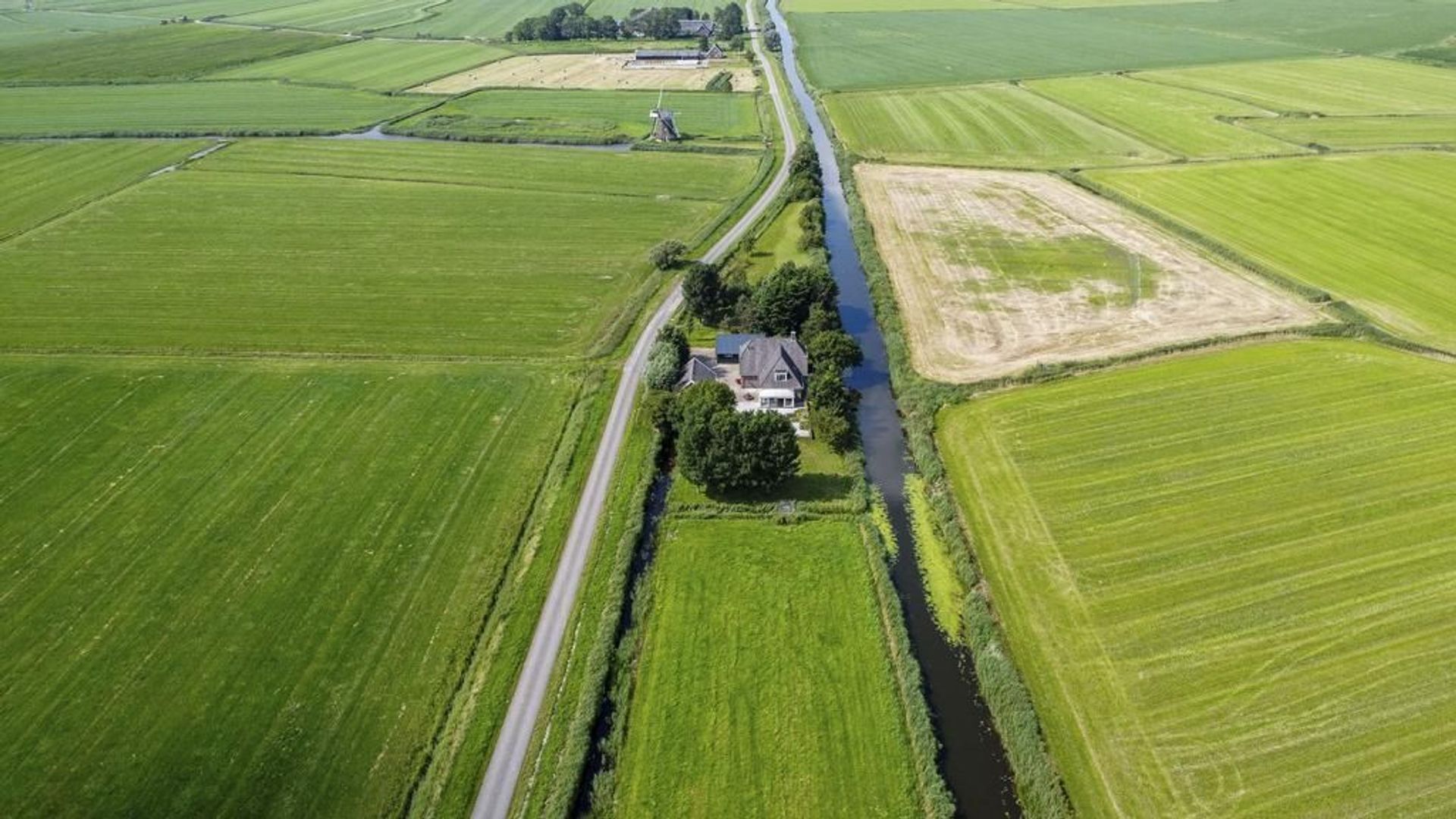 Miedwei 2, Holwert foto-2