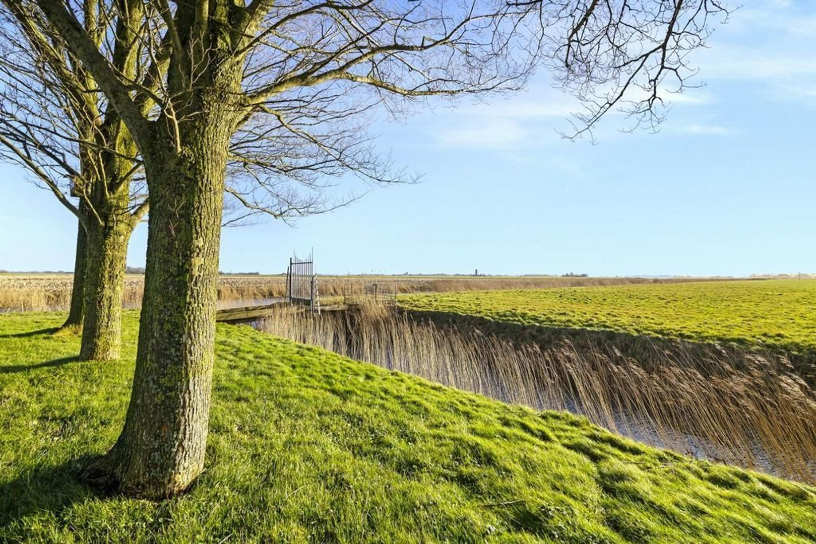 Miedwei 2, Holwert foto-31